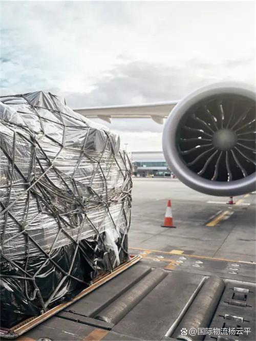 中东医疗风口正劲 从迪拜空运热看中国医疗器械出海的“黄金通道”